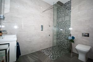 Shower Room- click for photo gallery